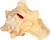 1 Large Bahama Conch Seashell front facing view