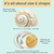 Hermit Crab Shells 1 White Pearl Jade Green Turbo Shell 3"-3.5" Hermit Crab House for Décor |