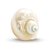 Hermit Crab Shells 1 White Pearl Jade Green Turbo Shell 3"-3.5" Hermit Crab House for Décor |