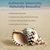 Triton Shell 1 Triton Seashell Large 11"-12" for Décor