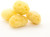 Hermit Crab Sea Sponges view 2