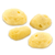 Hermit Crab Sea Sponges 4 Natural Sea Sponges 1.5" - 2" for Hermit Crab Habitats 