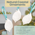 Shell Ornaments 3 White Seashell Hanging Bonnet Shells w/Turquoise Ribbon Christmas Ornaments for Tree