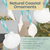 Shell Ornaments 5 White Seashell Hanging Shells Mix w/Turquoise Ribbon Christmas Ornaments for Tree