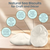 Sea Biscuits 2 Large Real Sea Biscuits 3"- 4" Sand Sea Biscuits for Crafts and Decor 