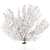 Sea Fan Coral | Black Coral Sea Fan 10" to 12" | Natural Real Piece of Coral Sea Fan | Plus Free Nautical eBook by Joseph Rains