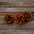 Cinnamon Pine Cones Scented - 1lb Pack Small Cinnamon Pinecones Decor - Rustic Christmas Decor - Mini Pinecones for Crafts - Small Pinecones - Pine Cone Ornaments - Small Pinecones for Crafts