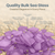 Sea Glass Craft - Beach Glass Craft - Metallic Purple - 55 Oz Sea Glass Décor - Sea Glass Vase Filler - Sea Glass Crafting - Bag of Sea Glass - Craft Glass - Vase Fillers Glass