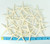 Starfish Decor - Star Fish for Craft - 20pk Real 2-3" White Sea Stars - Beach Wedding Decor - Coastal Party Decorations - Seashell Decor - Shells for Crafts - Nautical Decor - Bulk Shells for Crafts