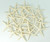 Starfish Decor - Star Fish for Craft - 20pk Real 2-3" White Sea Stars - Beach Wedding Decor - Coastal Party Decorations - Seashell Decor - Shells for Crafts - Nautical Decor - Bulk Shells for Crafts