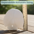 Arrow Head Sand Dollars | Real Arrowhead Sand Dollars 4"- 5" | Set of 3 | Sand Dollar Shells | Seashell Wedding | Sand Dollars for Crafts | Plus Free Nautical Ebook by Joseph Rains