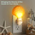 Sea Shell Night Light | Mexican Cup Nautical Night Light | Home Decor | Plus Free Nautical eBook by Joseph Rains