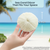 Mushroom Sea Coral | White Real Mushroom Coral 3”-4” (1 Piece) | Aquarium Ornament for Decoration | Plus Free Nautical eBook by Joseph Rains
