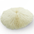 The Seashell Company 15 Mushroom Coral 1" (Set of 10), Crafts & Nautical Beach Décor