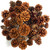Scented Pine Cones Cinnamon - Small Mix 1LB - Pine Cones for Crafts - Pine Cone Decor - Fall Scented Pine Cones - Pinecones Scented - Cinnamon Scented Pine Cones Bag - Pine Cones Bulk - Natural