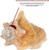 Conch Shell Decor - Seashell Decor - Imperfect (8-10in) Large Sea Shell - Shells for Decoration - Large Seashells for Craft - Magic Conch Shell Room Decor