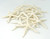 Starfish Decor - Star Fish for Craft - 18pk Real 3-4" White Sea Stars - Beach Wedding Decor - Coastal Party Decorations - Seashell Décor