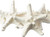 Real Knobby Starfish | 6 Real Knobby Starfish White 3" to 4" | Plus Free Nautical eBook by Joseph Rains