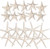 Starfish & Knoby Starfish Decor - (10) White Starfish 4-6" and (10) Knobby Starfish 2-3.5"" - Beach Wedding Decor - Coastal Party Decorations - Seashell Decor