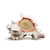 Conch Shell Decor - Seashell Decor - 4 3/4 - 5 7/8" Large Murex Ramosus Sea Shell - Shells for Decoration - Large Seashells for Crafts - Magic Conch