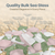Sea Glass | 11oz Pink Green & White Tumbled Sea Glass Decor | Bulk Seaglass Pieces for Beach Wedding Decor & Crafts | Plus Free Nautical eBook by Joseph Rains