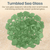 Sea Glass | 11oz Tumbled Sea Glass Decor | Bulk Seaglass Pieces for Beach Wedding Decor & Crafts | Plus Free Nautical eBook by Joseph Rains (Green)