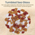 Nautical Crush Trading Sea Glass | Amber Brown Red and Frosted White Sea Glass Mix | 55 Ounces of Sea Glass for Art Crafts and Decor | Sea Glass Bulk
