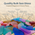 Nautical Crush Trading Sea Glass Craft - 11 Ounces Large Assorted Mix - Beach Glass Craft - Sea Glass Décor - Sea Glass Vase Filler - Sea Glass Crafting - Bag of Sea Glass - Craft Glass