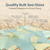 Sea Glass | Large Colored Sea Glass 1.75"-3" | Large Sea Glass Pieces for Decor and Craft | Plus Free Nautical eBook by Joseph Rains (Green Yellow & Aqua)