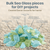 Sea Glass Chips | 22 Ounces of Lime and Aqua | Bulk Pearlized Sea Glass Pieces for Craft and Decor | Plus Free Nautical eBook by Joseph Rains