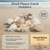 Sea Shell Placecard Holder Set (200 Pieces) | Cut Shells for Beach Wedding Place Cards | Shells for Wedding or Event Table Decor | Plus Free Nautical Ebook by Joseph Rains