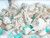 Sea Shells - White Real Mixed Beach Seashells (5lb) with Starfish & Sea Glass - Shells for Crafts - Ocean Decor - Beach Party Decorations - Seashell Decor - Large Shells Crafts