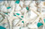 Sea Shells - White Real Mixed Beach Seashells (5lb) with Starfish & Sea Glass - Shells for Crafts - Ocean Decor - Beach Party Decorations - Seashell Decor - Large Shells Crafts