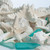 Sea Shells - White Real Mixed Beach Seashells (5lb) with Starfish & Sea Glass - Shells for Crafts - Ocean Decor - Beach Party Decorations - Seashell Decor - Large Shells Crafts