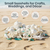 Sea Shells - White Real Mixed Beach Seashells (5lb) with Starfish & Sea Glass - Shells for Crafts - Ocean Decor - Beach Party Decorations - Seashell Decor - Large Shells Crafts