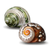 Hermit Crab Shells | Turbo Shells | 1 African Sarmaticus and 1 Green Banded Turbo Shell 2"-2.5" | Hermit Crab House for Décor | Plus Free Nautical eBook by Joseph Rains