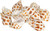 Hermit Crab Shells | Turbo Shells | 12 Babylonia Aerolata Turbo Shells 3/4"- 2" | Hermit Crab House for Décor | Plus Free Nautical eBook by Joseph Rains