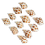 Hermit Crab Shells | Turbo Shells | 12 Babylonia Aerolata Turbo Shells 3/4"- 2" | Hermit Crab House for Décor | Plus Free Nautical eBook by Joseph Rains