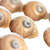 Hermit Crab Shells | Turbo Shells | 12 Natica Lineata Shells 3/4"- 1.5" | Hermit Crab House for Décor | Plus Free Nautical eBook by Joseph Rains