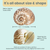 Hermit Crab Shells | Turbo Shells | 12 Natica Tigrina Turbo Shells 1/2"- 1.5" | Hermit Crab House for Décor | Plus Free Nautical eBook by Joseph Rains