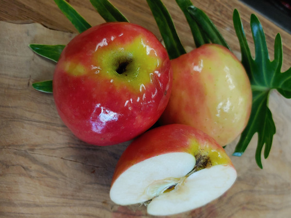 Our beautifully sweet-tart Dolce Mela Organic Vinegar from Italy is made from just one ingredient--organic Italian  apples!  With just the right acidity to balance the deep sweet fragrance  of organic apples, this delightful vinegar tastes nothing like the apple cider vinegar you're used to.