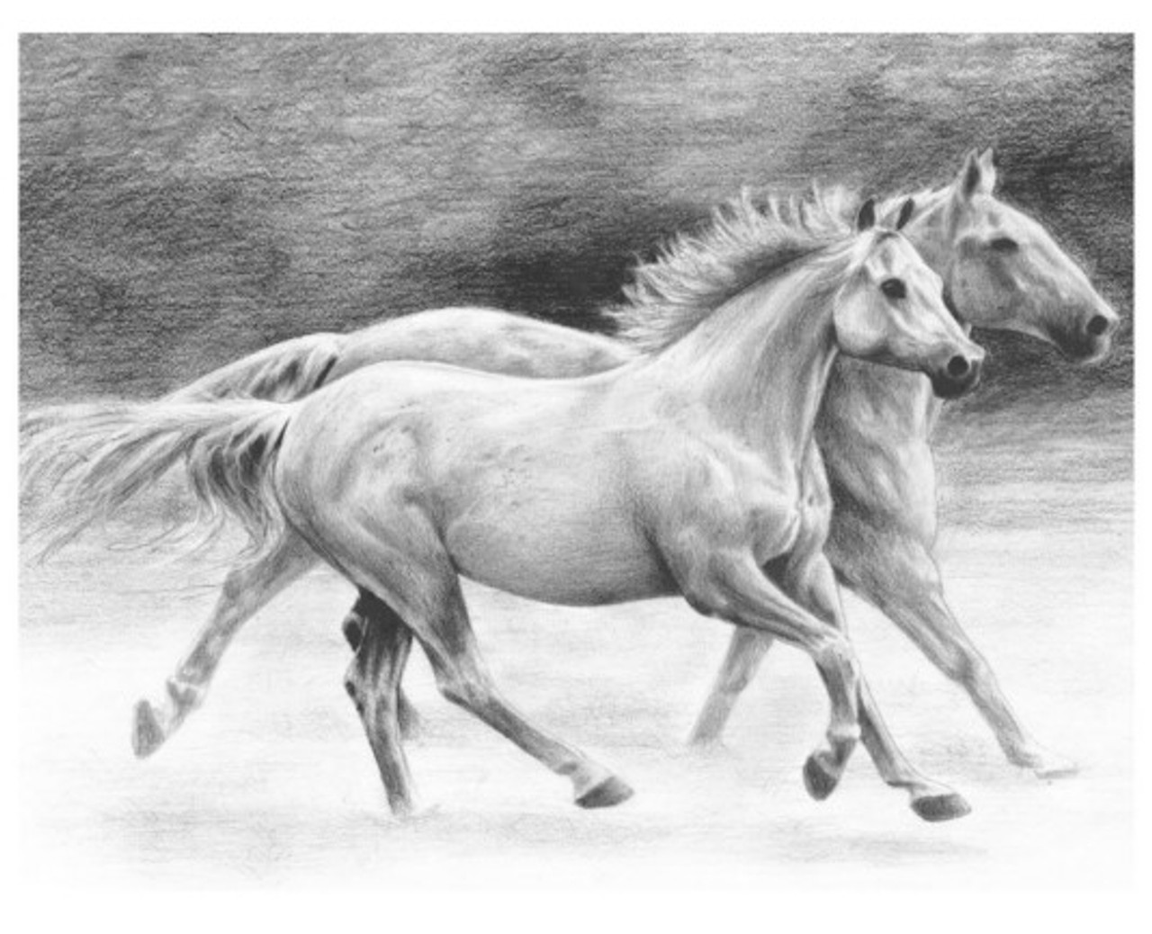 Original Horse Graphite Drawings For Sale | Saatchi Art