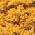 Fall Yellow Coarse Turf Woodland Scenics