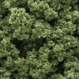 Light Green Bushes Clump Foliage Shaker Woodland Scenics