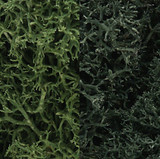 Dark Green Mix Lichen Woodland Scenics
