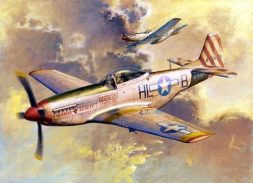 ハセガワ1/32完成品「アメリカ軍P−51D MUSTANG」 P-51D Mustang Man O War 1/32 Hasegawa