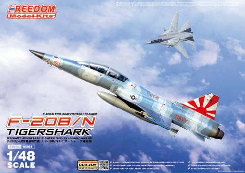 TF-20B Tigershark USAF Two-Seater Advanced Trainer Fighter 1
