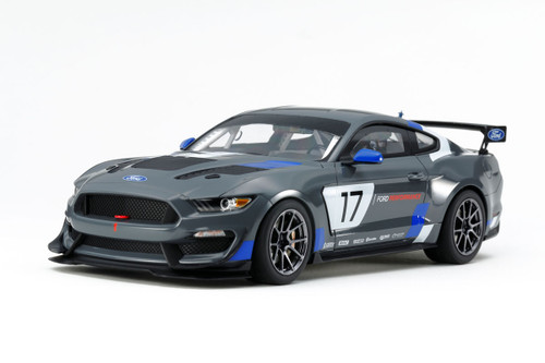 Ford Mustang GT4 Race Car 1/24 Tamiya