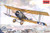 Sopwith 1 1/2 Strutter Bomber 1/48 Roden