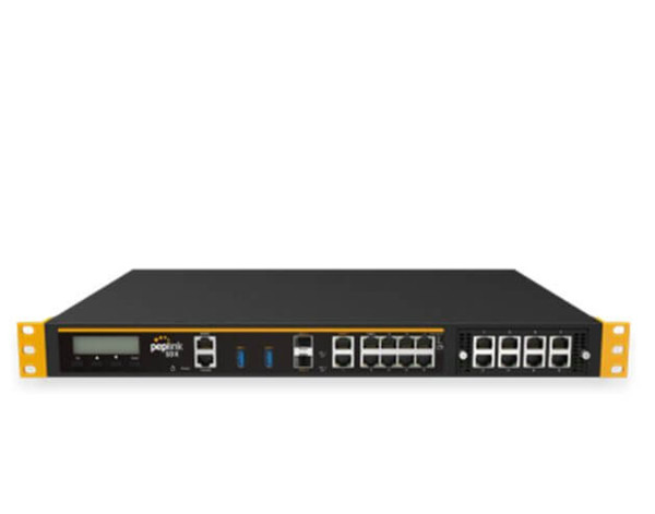 Peplink Balance SDX (base model)